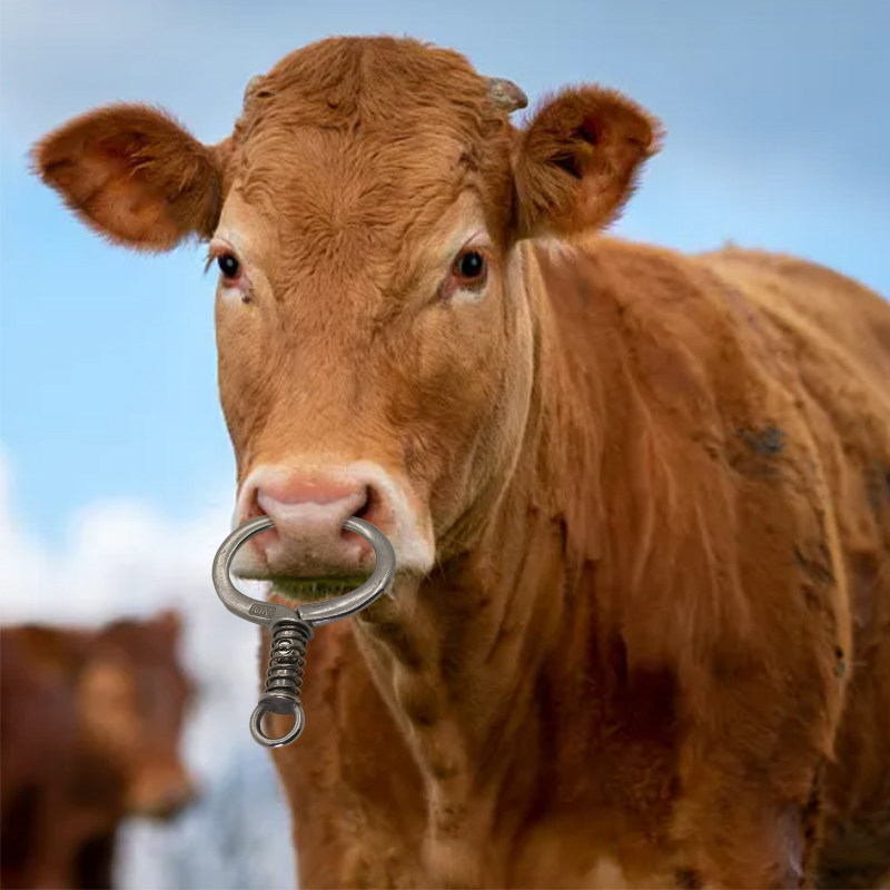 弹簧牛鼻环牛鼻圈 牛鼻钳大号不锈钢牛鼻子牵引扣免打孔牵引设备,淘宝优惠券,粉丝福利购,淘宝优惠卷