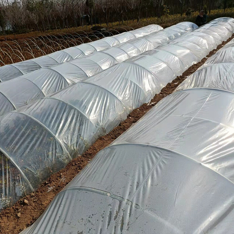 白色地膜农用保温保湿蔬菜大棚种植防草地膜耐拉扯塑料小拱棚薄膜 - 图1