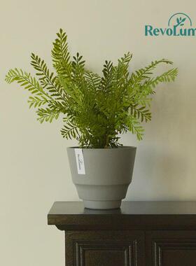 秋海棠多肉快跟植物塑料花盆黑胶环保热植植物专用树脂加厚小花盆