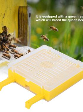 现货供应育王盒套餐育王盒王台基王台保护罩育王工具繁殖蜂王