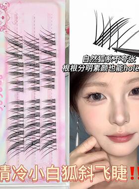 兜兜甜清冷小白狐不挑造型圆眼灵动斜飞自然仿真仿嫁接轻斜飞新款