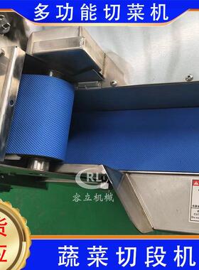 厂家供应大姜切片机 多功能土豆洋葱切片切丝机 全自动莲藕切片机