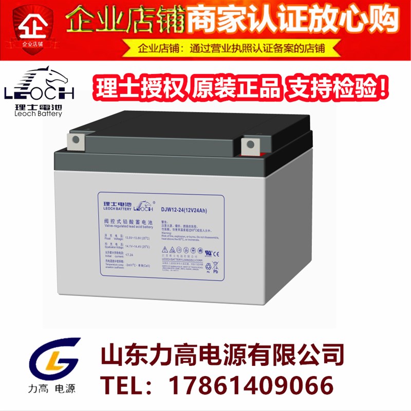 理士蓄电池DJM太阳能12V100AH7a12伏9a65a38a17a24a200安胶体电瓶 - 图0