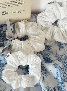 高颜值白色蕾丝大肠发圈高弹力扎头发绳简约百搭头绳超仙皮筋发饰