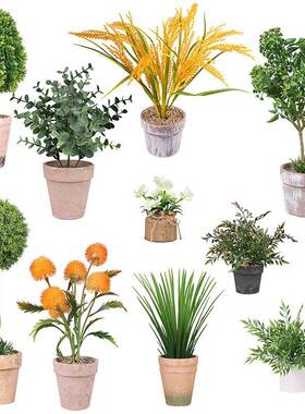 仿真花套装仿真植物假花盆栽摆设家居客厅绿植塑料花球多肉小盆景
