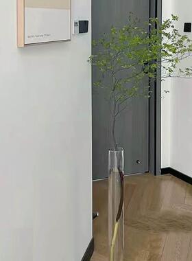 细长高款玻璃落地大花瓶透明水养插花长枝高身高筒超大超高506080