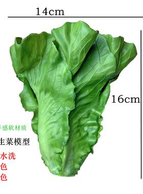 仿真水果蔬菜生菜模型家居厨柜家居摄影道具绿色生菜叶子摆件包邮