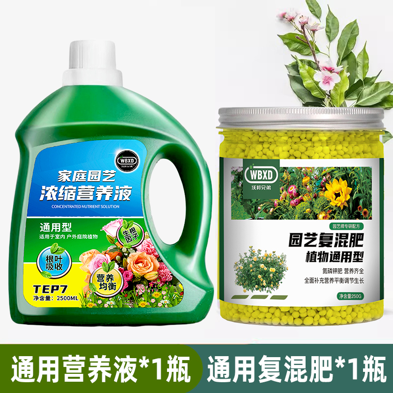 培绿植叶面肥铜钱营养液草植植物花卉黄绿萝LXF水有机叶栽肥{养兰 - 图1