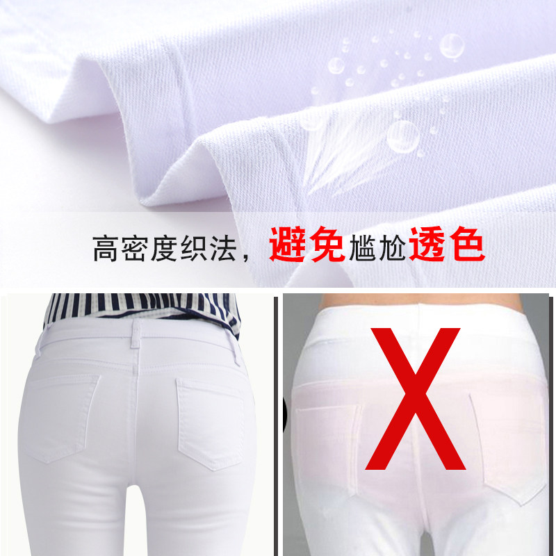 七分裤夏外穿薄款2020新款打底裤 罗米娜打底裤