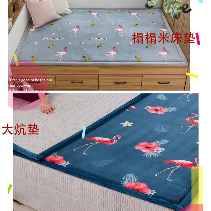 9V7T海绵垫床垫家用高密度榻榻米学生加厚褥子沙发坐垫飘窗垫定 - 图2