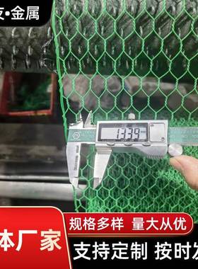 铁丝网不锈钢金属网涂塑热镀锌六角网鸡笼网