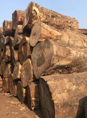 南美胡桃木原木琥珀木实木沙发家具南美黑胡桃雨木胡桃木