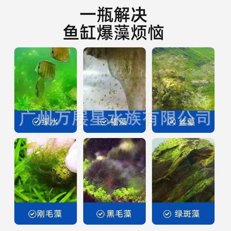 百美N1藻褐剂鱼N1缸去苔剂青苔清除剂草缸鱼池藻绿因藻除黑毛藻,淘宝优惠券,粉丝福利购,淘宝优惠卷