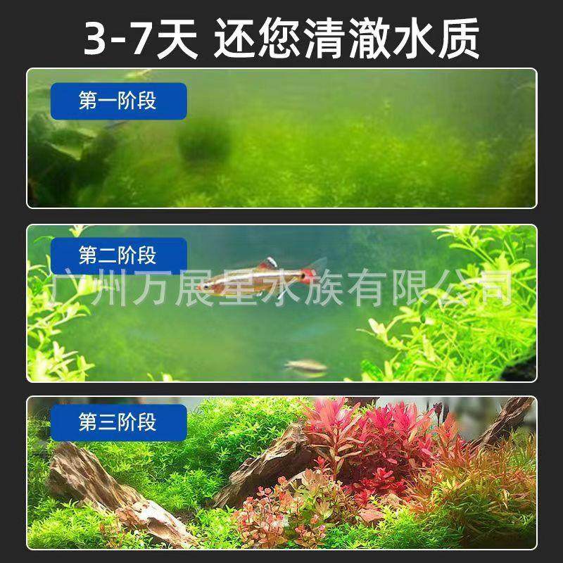 百美N1藻褐剂鱼N1缸去苔剂青苔清除剂草缸鱼池藻绿因藻除黑毛藻,淘宝优惠券,粉丝福利购,淘宝优惠卷