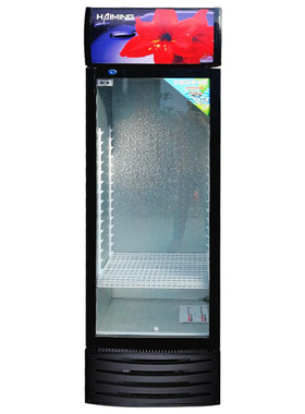 饮料柜商用立式冰柜冰箱玻璃单门超市冷柜啤酒饮品保鲜冷藏展示柜