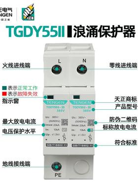 天正电气TGDY55II防雷避雷器2P4P204060KA二级电涌浪涌保护器开关