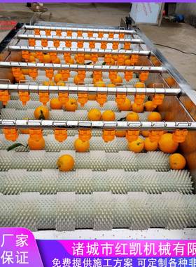 供应平行毛辊清洗机生蚝扇贝毛刷去泥清洗机全自动清洗机