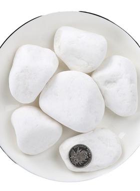 白色鹅卵石纯白雨花石园林景观水池垫底铺路地面打磨石量大从优