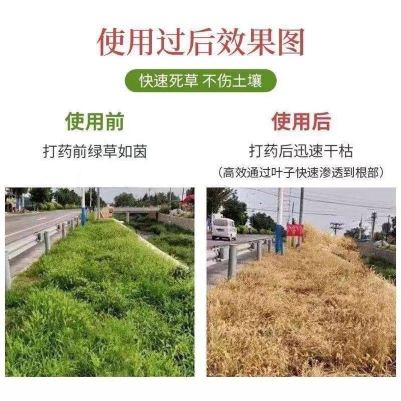 灭树粉烂根剂灭根粉专灭杂草竹子树强效烂根腐烂灌木跟颗粒剂肥料-图1