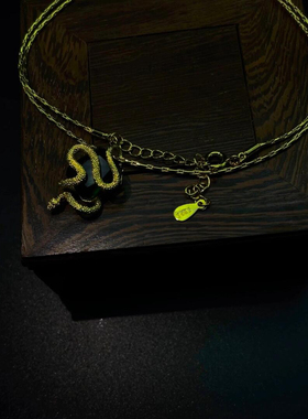 Vintage古着 Spirit Snake Slatlin项链