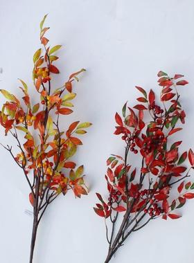 天竹叶秋桔假叶子植物树叶中式植物植物枫叶单只/束假花风花植物