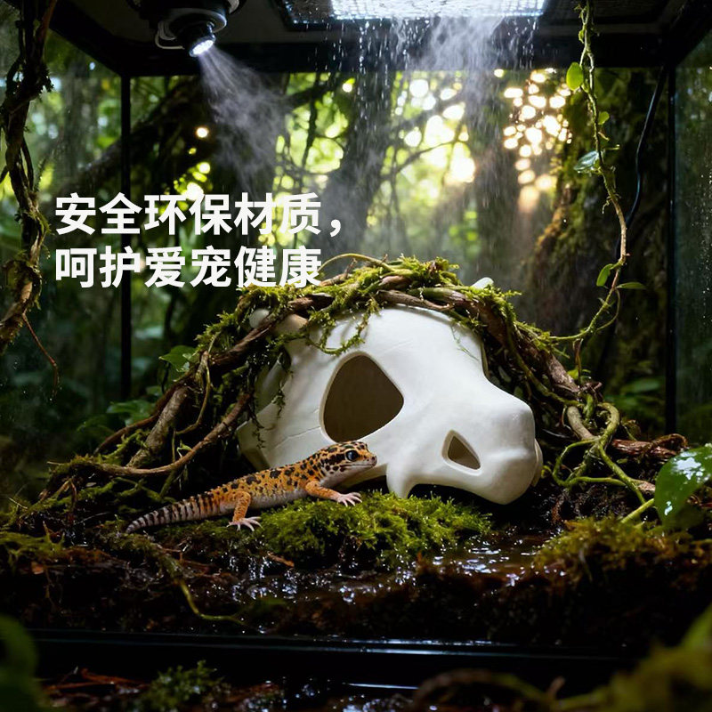 爬宠饲养缸躲避屋鱼缸造景爬宠蜥蜴守宫鬃狮创意头骨躲避造景装饰,淘宝优惠券,粉丝福利购,淘宝优惠卷
