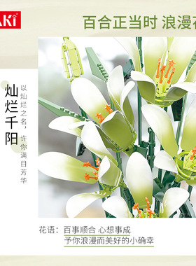 现货速发佳奇jk265灿烂千百合永生花束拼组装儿童积木玩具桌面摆