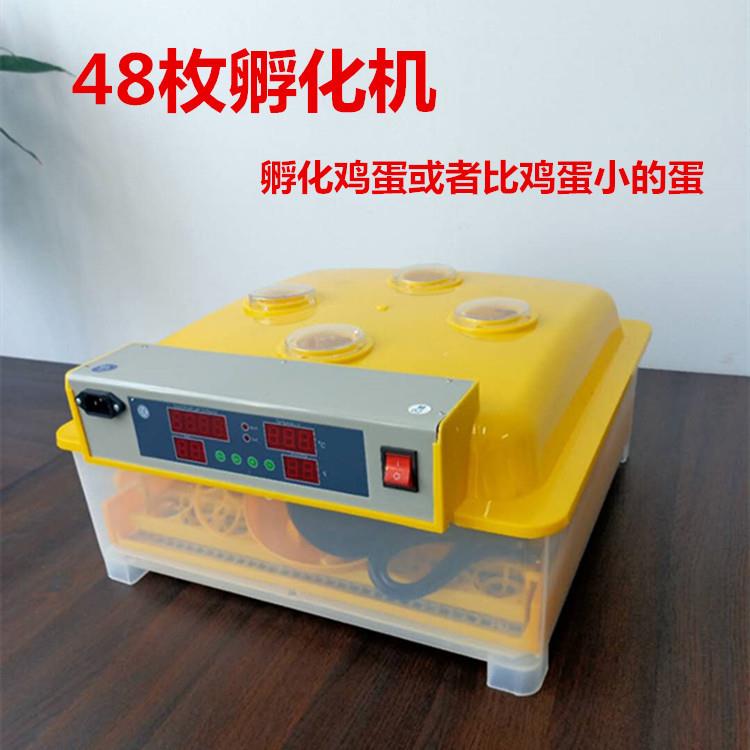 Egg incubator small mini 48 pieces incubation machinery and equipment 36 plum blossom 56 poultry household incubator chassis