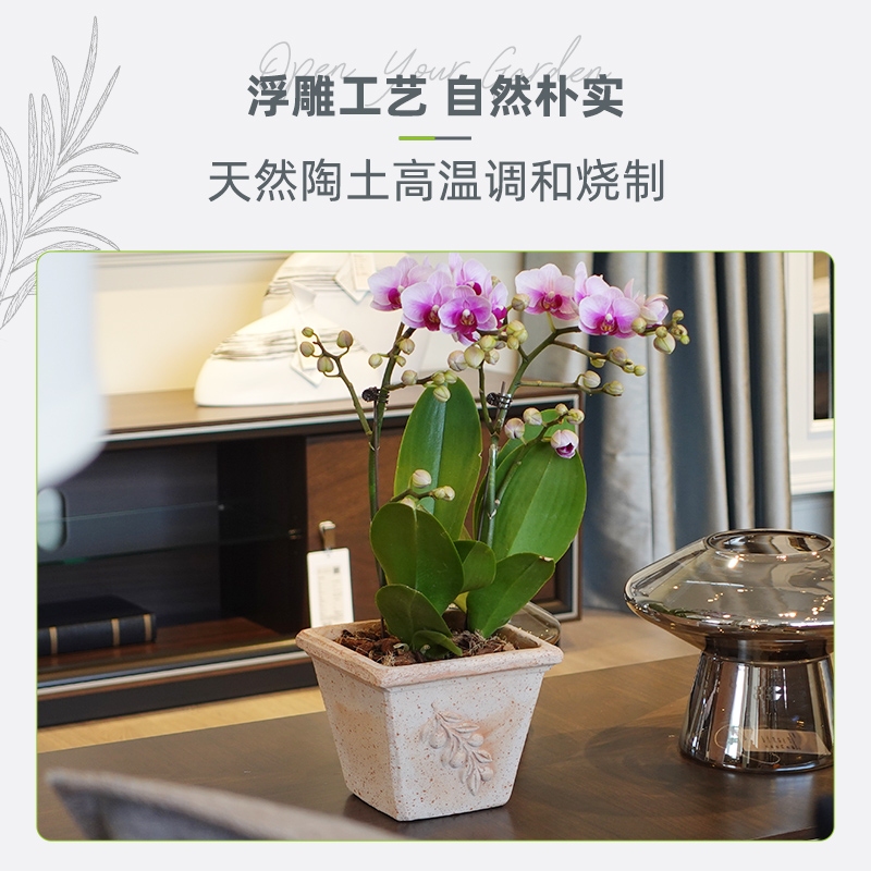 帝罗马橄榄枝浮雕手工陶盆白陶阳台天然陶土盆种植绿植兰花花盆