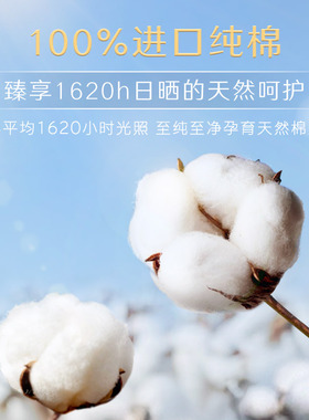 【下拉享优惠】高洁丝阳光烘烘纯棉日夜组合卫生巾姨妈巾