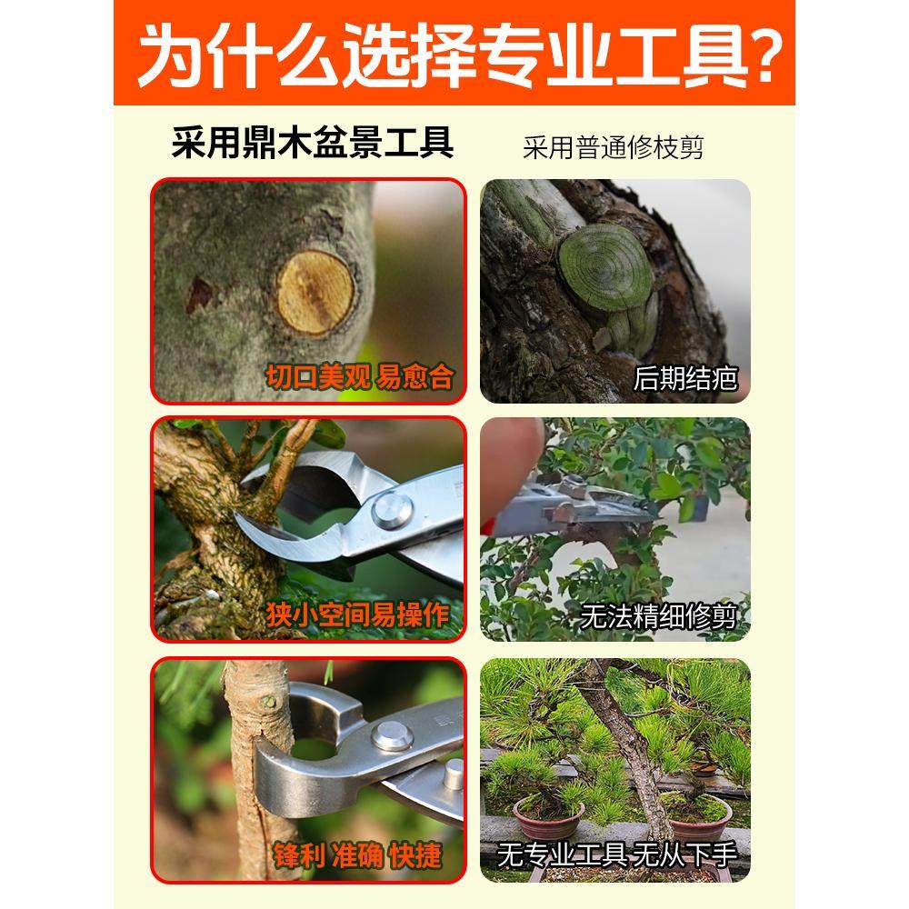 修枝剪球节剪盆景工具叶芽剪叉枝剪树瘤树节球形钳盆景造型工具剪,淘宝优惠券,粉丝福利购,淘宝优惠卷
