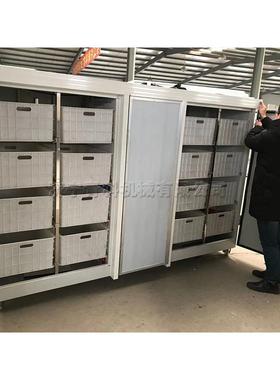 农贸市场豆芽生产机恒温培育豆苗设备循环自动淋水降温豆苗机