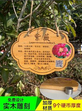 ZQ植树节树木挂牌花木介绍牌植物品名吊牌幼儿园认养防腐标识牌