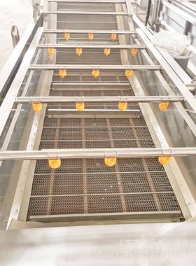 蔓越莓清洗设备全自动番茄蔬菜果蔬清洗机冲浪式气泡清洗机