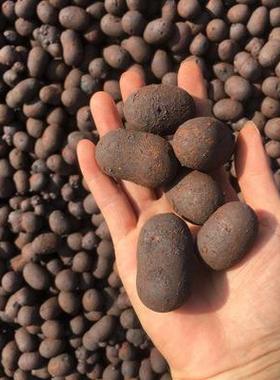 回填陶粒厂直销建筑陶粒卫生间回填厕所填充陶粒垫底陶粒铺面