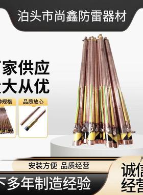 货离子接地极等离子接地极紫铜电解离子接地极仿腐紫铜离子接地极