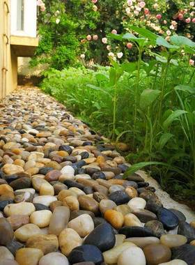 50斤鹅卵石铺路铺地庭院花园造景大小雨花石原石鹅软暖石
