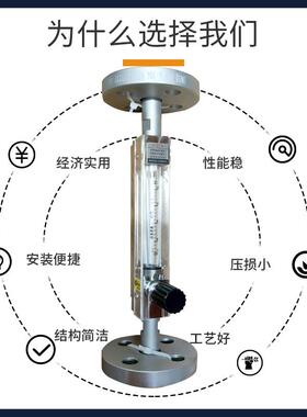 双环DN15法兰型玻璃转子流量计底进上出DK800-6F气体液体流量计