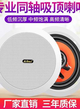 618Y20W同轴吸顶天花喇叭吊顶音响套装定压背景音乐广播音箱