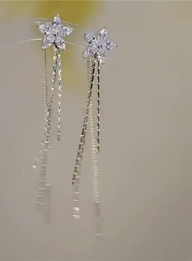 银耳环9999纯银女超闪星芒长款