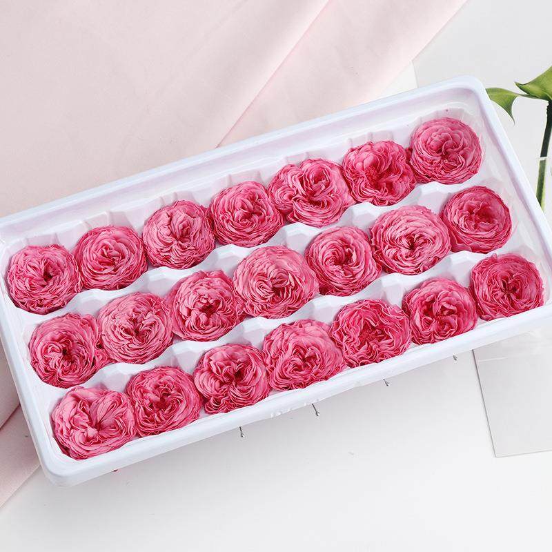 永生玫瑰干花A级奥斯丁巧克力粉色红色蓝色玫瑰花头永生花材DIY,淘宝优惠券,粉丝福利购,淘宝优惠卷