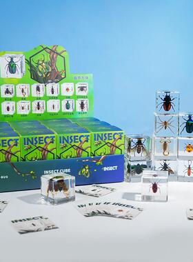 真实昆虫方块盲盒蜘蛛黄蝎黑竹蜂锹甲直播货源研学创意玩具盲盒