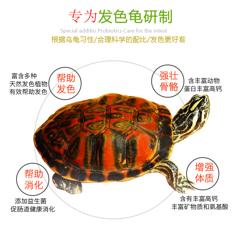 乌龟饲料火焰龟发色粮黄缘龟东锦西锦龟专用增色龟粮小乌龟开口粮 - 图2