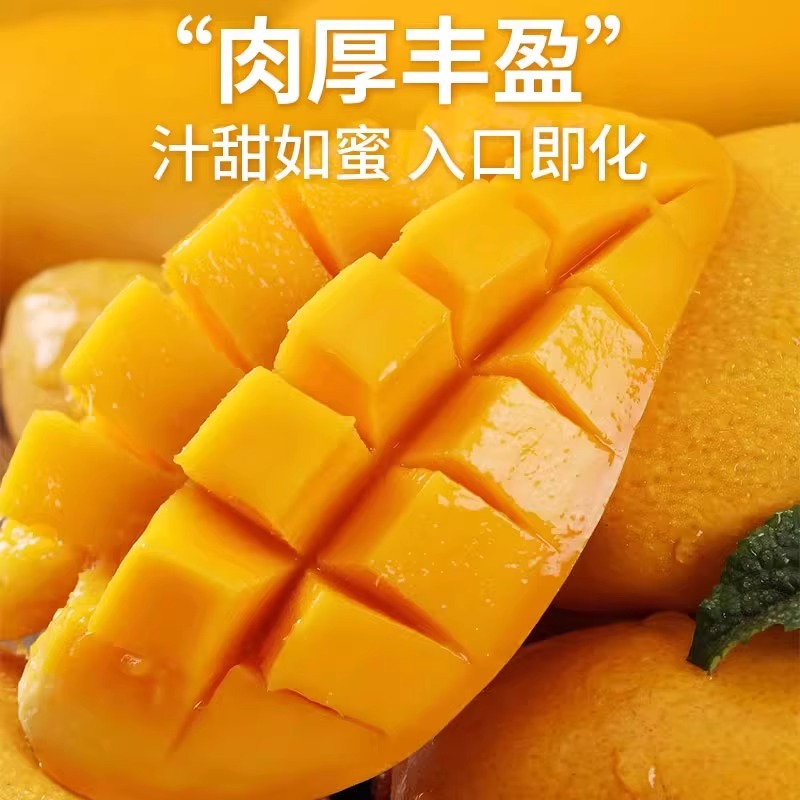 金煌芒果10斤新鲜热带孕妇水果应当季水仙芒甜心芒果海南特产整箱 - 图1