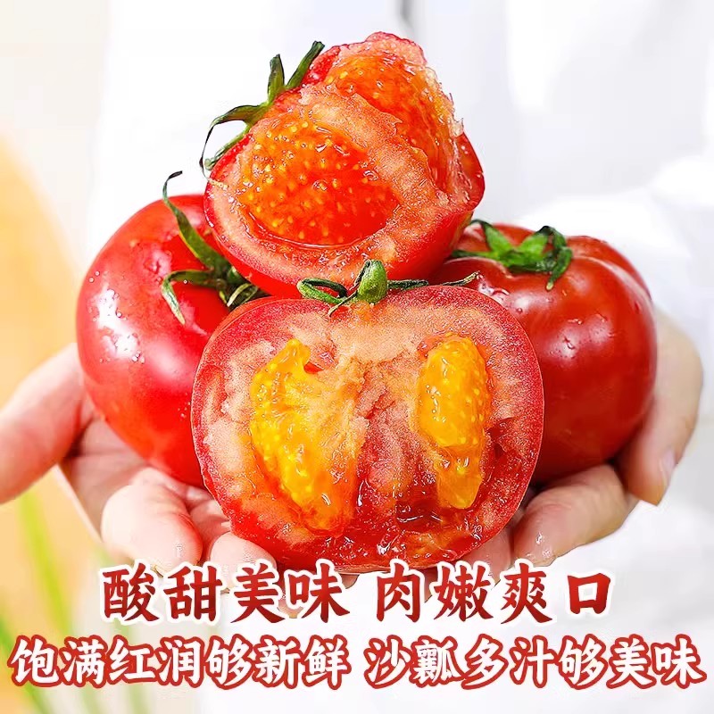 沙瓤西红柿5斤自然熟柿子蔬菜生吃水果番茄普罗旺斯当季现摘整箱3
