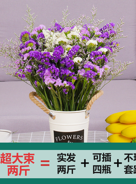 好货歌维贝云南天然风勿忘我乾燥花花束装饰摆饰真花家庭插花论斤