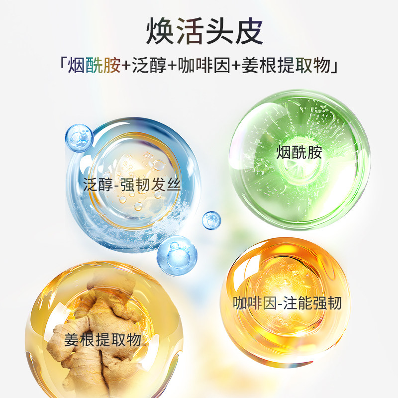 Sregular丝律控油强韧发根洗发水男女清洁洗头膏蓬松防断发洗发露
