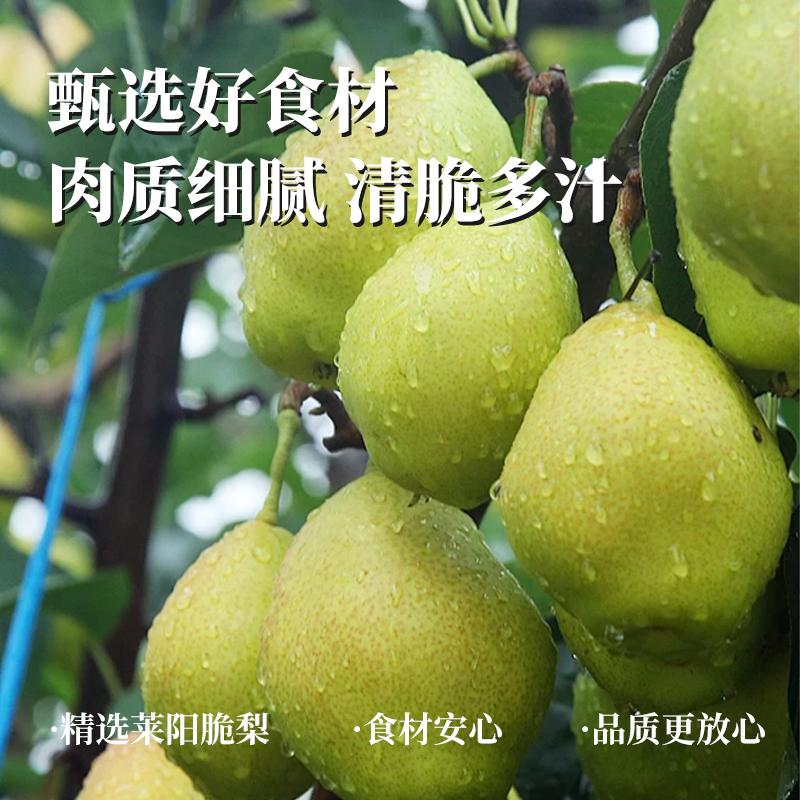利吉氏红糖脆梨块清甜可口脆爽清凉雪梨独立包装大块梨肉休闲零食