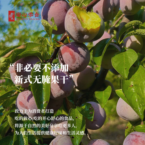 利吉氏永泰李干大颗福建特产芙蓉李子干果脯正宗酸加应子休闲零食 - 图3