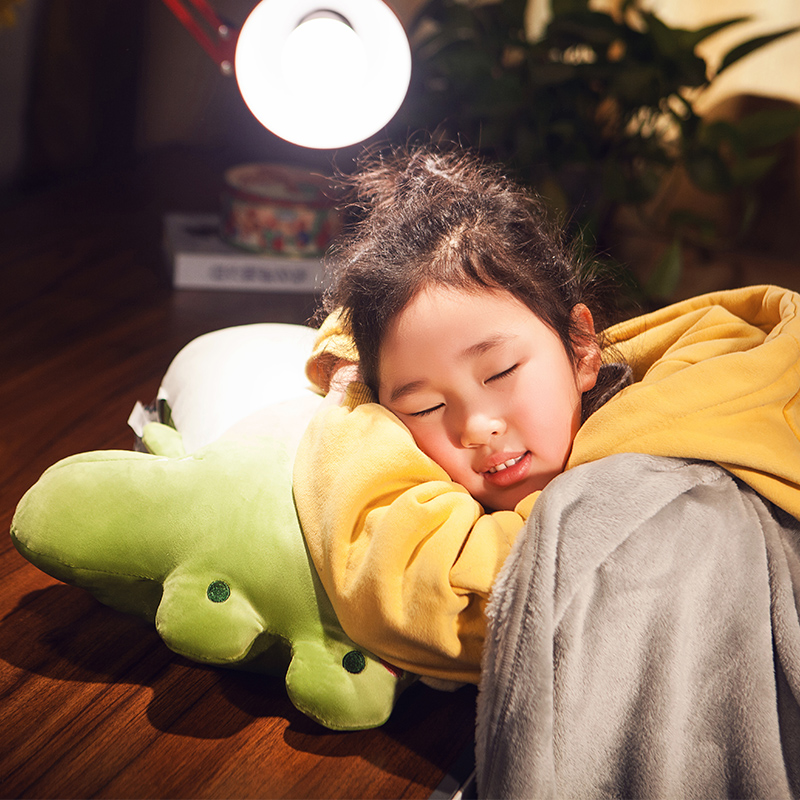 抱枕被子两用枕头车载二合一车内抱枕毯四季通用毯子空调午睡被子 - 图1